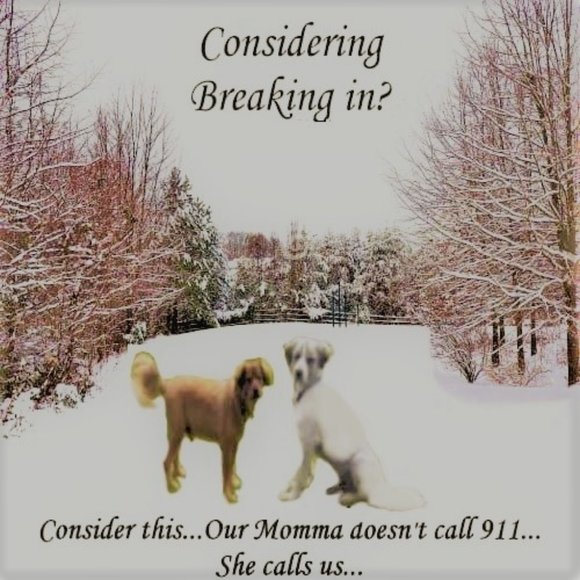 Meet your Posher, Rhonda - Picture 3 of 3